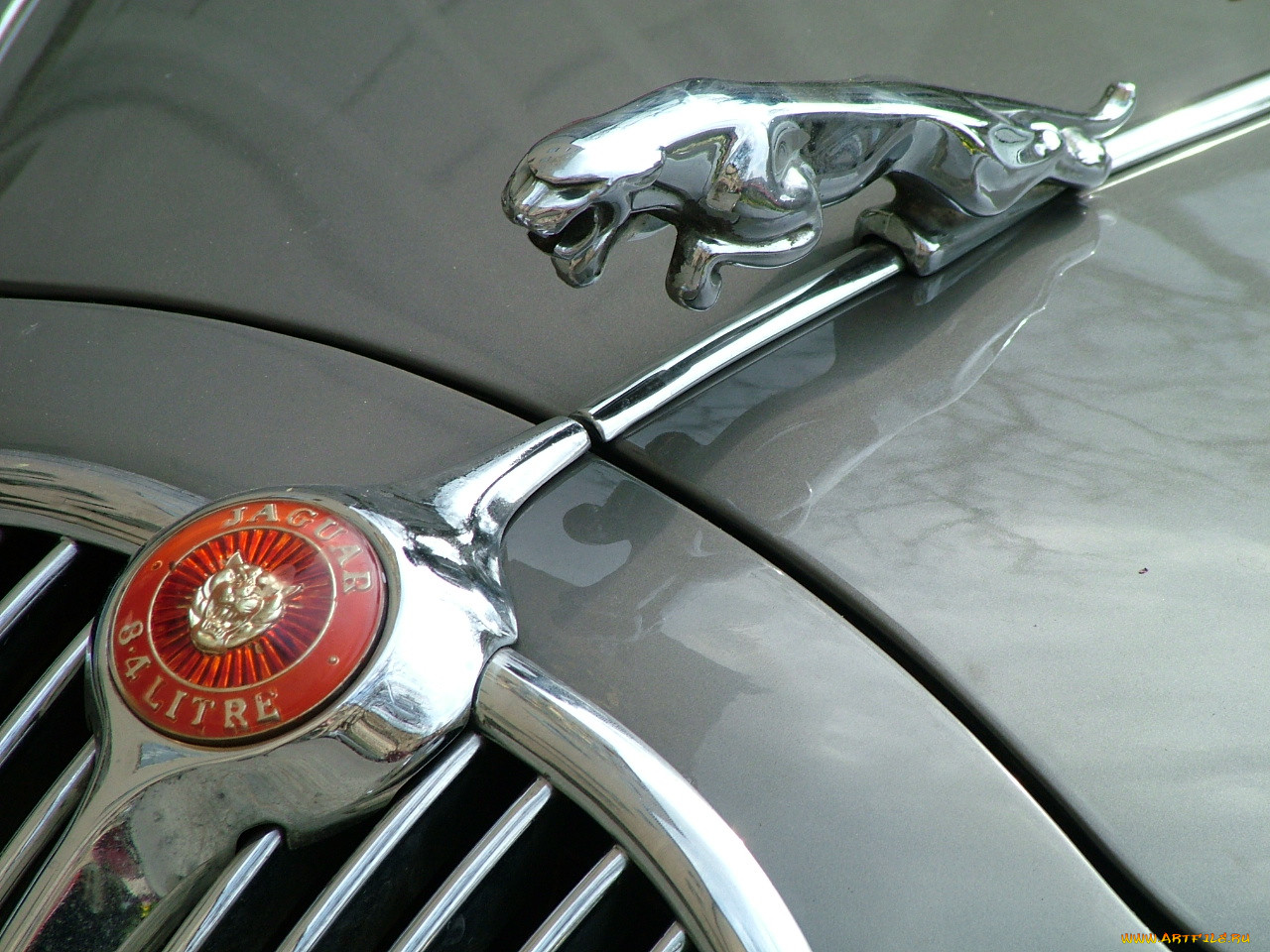 , , , jaguar
